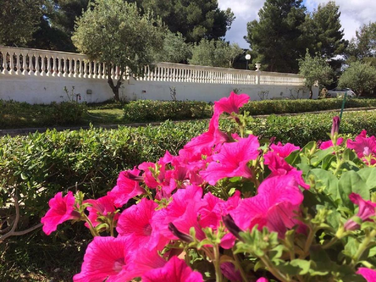 Villa Nunziatella Badia Trappeto  Luaran gambar